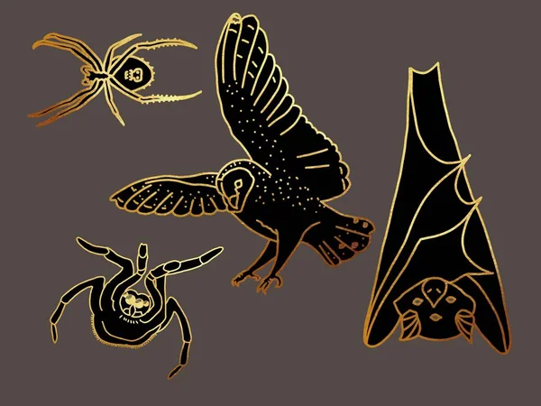 Set Illustrations Witchs Familier Spider Tarantula Owl Bat Golden Linear — Stock Photo, Image