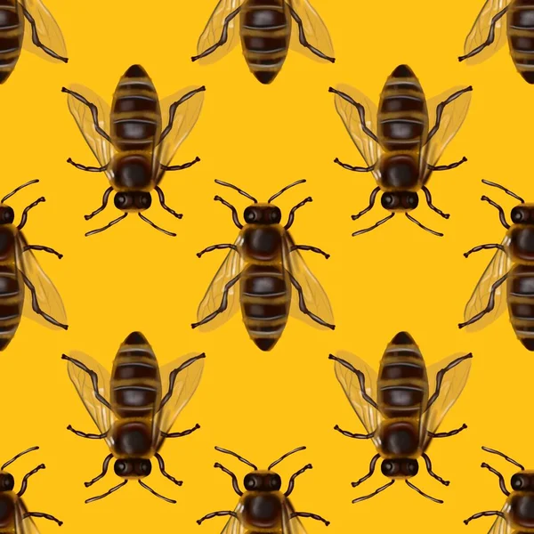 Realistický Bezproblémový Vzorec Včel Akvarelové Pozadí Včel Vysoce Kvalitní Ilustrace — Stock fotografie