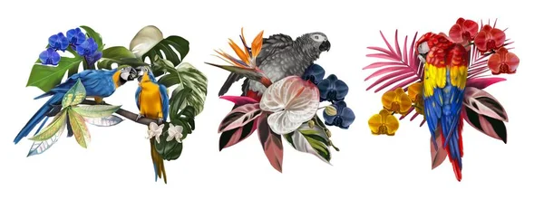 把热带花束和鹦鹉放在一起 彩色水彩画 高质量的例证 — 图库照片