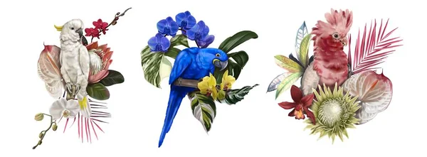 一套热带花束 白色的鹦鹉 蓝色的鹦鹉和粉色的鹦鹉 水彩画逼真的例证 高质量的例证 — 图库照片