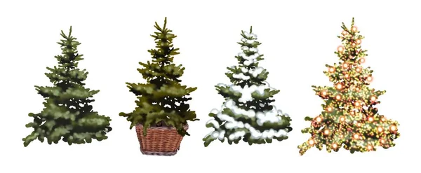 Set Acquerello Alberi Natale Set Realistico Alberi Natale Illustrazione Alta — Foto Stock