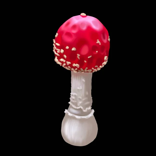 Aquarelrood Vliegen Agarisch Realistische Vliegen Agaric Paddestoel Giftige Paddenstoel Hoge — Stockfoto