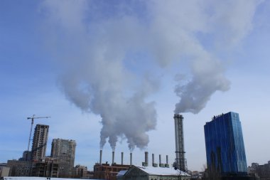 Kiev endüstriyel, lüle, bitki