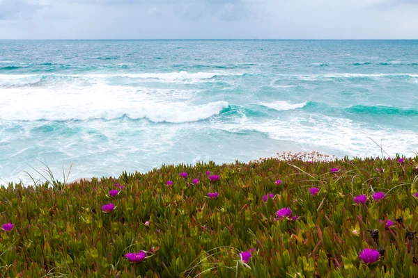 Onde dell'oceano — Foto Stock