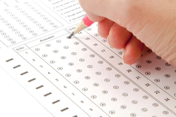 test cevapları