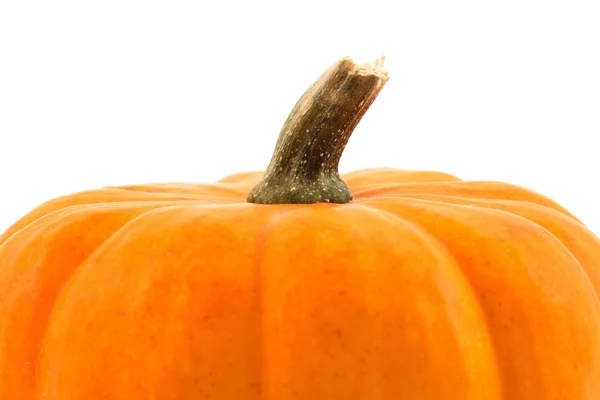 Orange halloween pumpkin — Stock Photo, Image