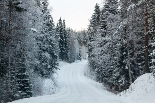 Floresta de inverno e uma estrada de neve — Fotografia de Stock