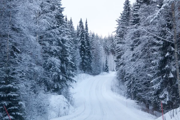 Floresta de inverno e uma estrada de neve — Fotografia de Stock