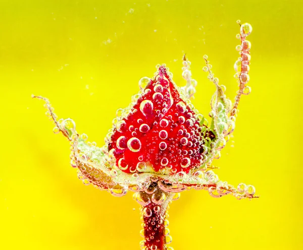 Vermelho subiu com as bolhas — Fotografia de Stock