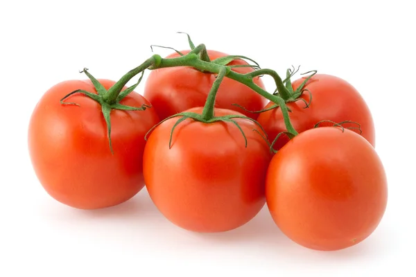 Red tomatoes on a branch — Stock Photo, Image