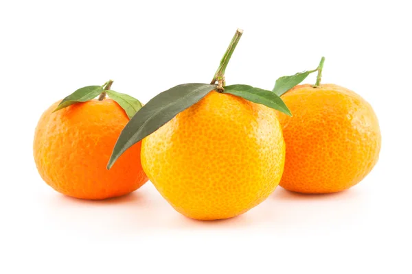 Three mandarins or tangerines with leaves — Stock Photo, Image