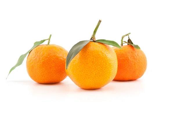 Three mandarins or tangerines with leaves — Stock Photo, Image