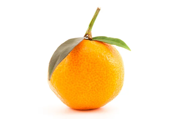 Mandarina naranja con hojas — Foto de Stock