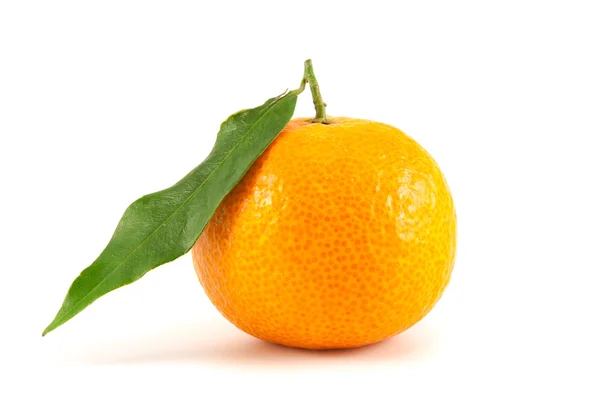 Mandarina naranja con hoja — Foto de Stock