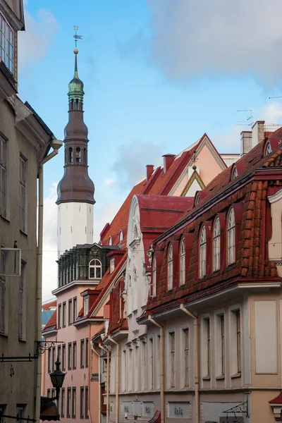 Tallinn eski kasaba görünümü — Stok fotoğraf