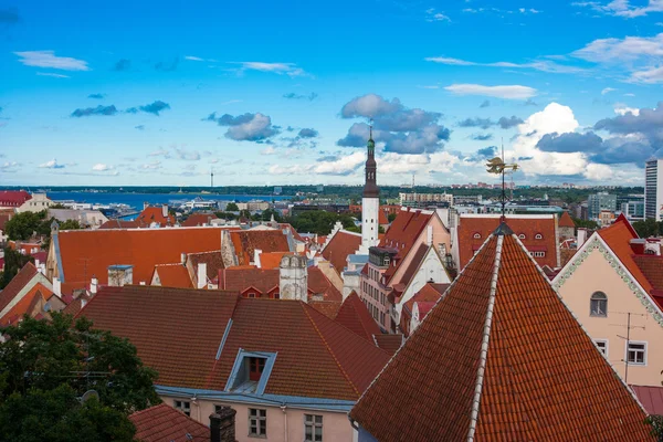 Tallinn città vecchia vista — Foto Stock