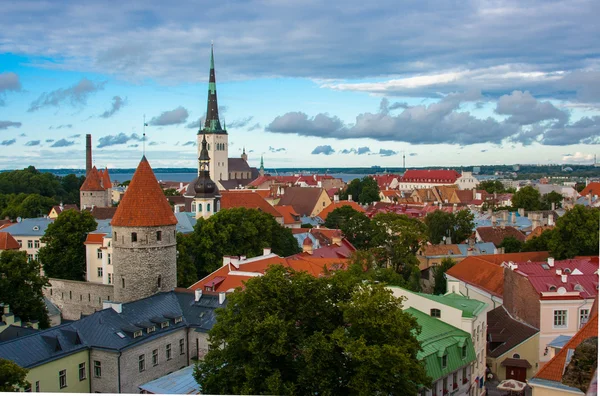 Tallinn città vecchia vista — Foto Stock
