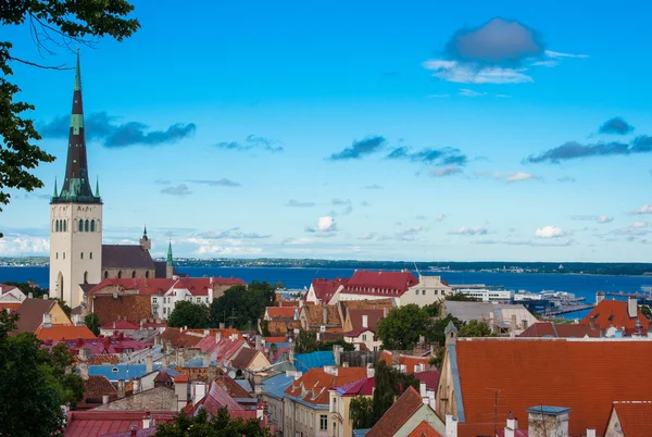 Tallinn città vecchia vista — Foto Stock