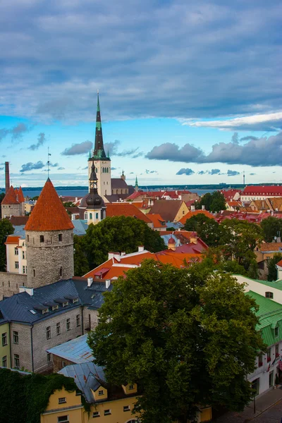 Tallinn eski kasaba görünümü — Stok fotoğraf