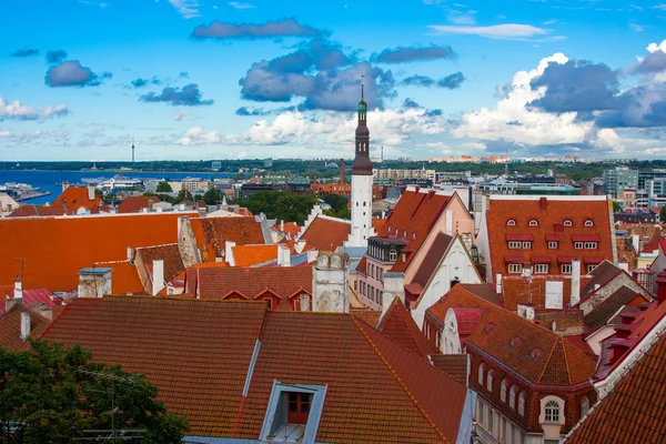 Tallinn città vecchia vista — Foto Stock