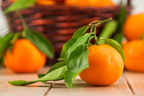 Mandarini maturi con foglie in un cesto — Foto Stock