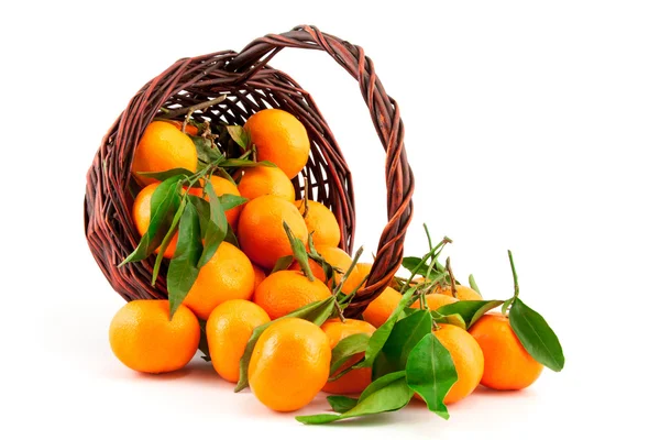 Organic ripe mandarins (tangerines) in basket — Stock Photo, Image