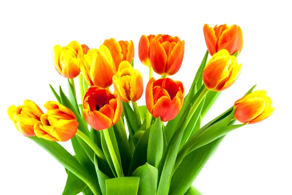 Bouquet di tulipani gialli e arancioni isolati — Foto Stock