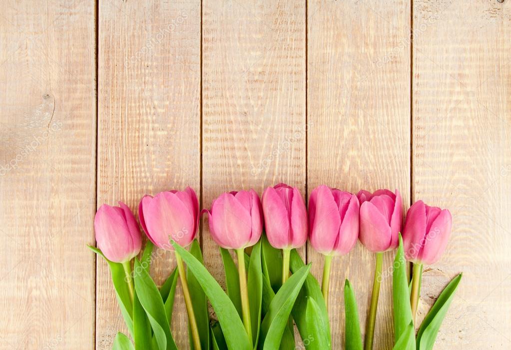 Bouquet of pink tulips Stock Photo by ©nblxer 42398359