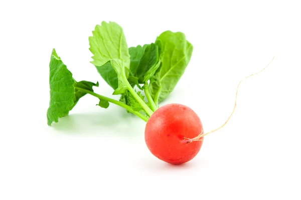 Organic fresh radish on white — Stock Photo, Image