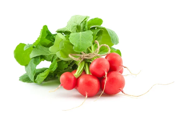 A bunch of fresh radishes on white — Stock Photo, Image
