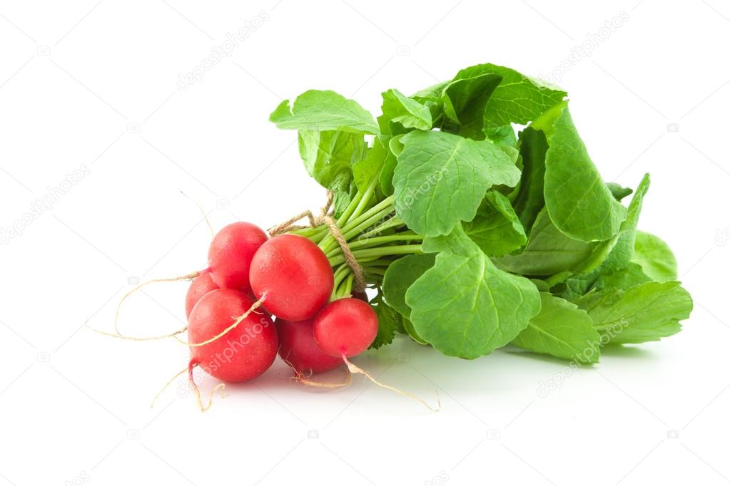 A bunch of fresh radishes on white