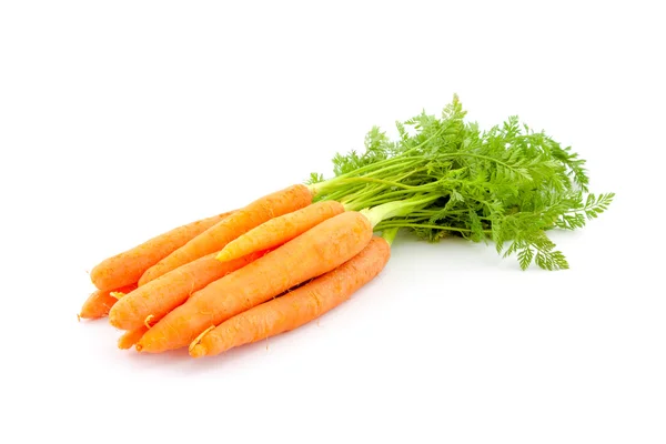 Zanahorias orgánicas frescas sobre fondo blanco — Foto de Stock