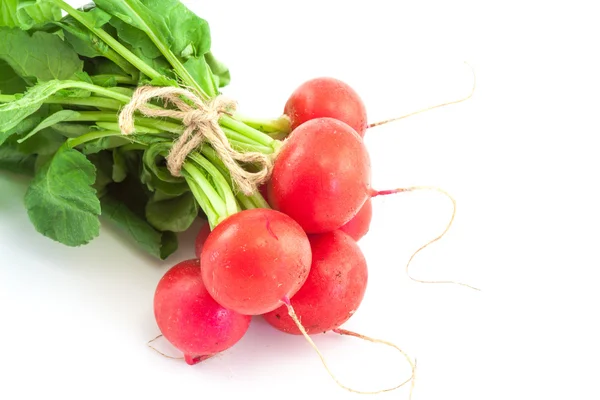 Un bouquet de radis frais sur blanc — Photo