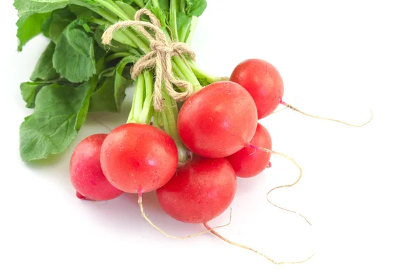 Un bouquet de radis frais sur blanc — Photo