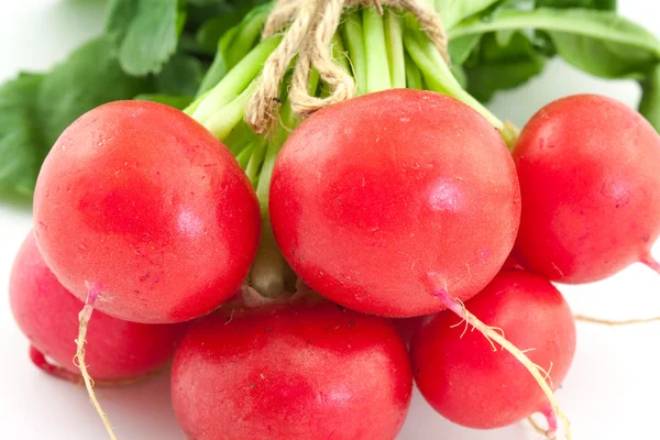 A bunch of fresh radishes on white — Stock Photo, Image