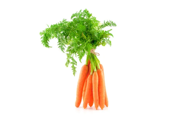 Кучка свежей детской морковки на белом фоне . — стоковое фото