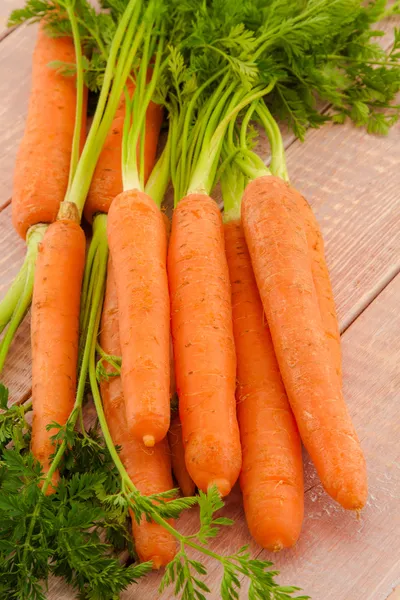 Carottes bio fraîches avec leur dessus — Photo