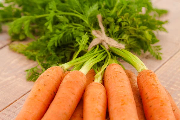 Carottes bio fraîches avec leur dessus — Photo