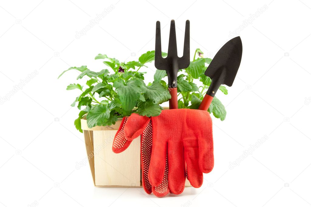 Garden tools with plants on white background
