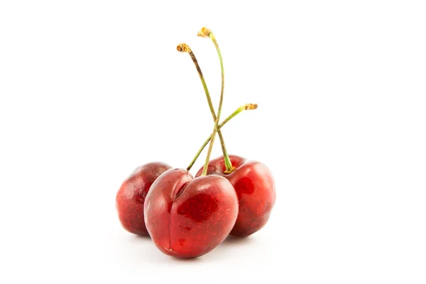 Rote reife Kirschbeeren — Stockfoto