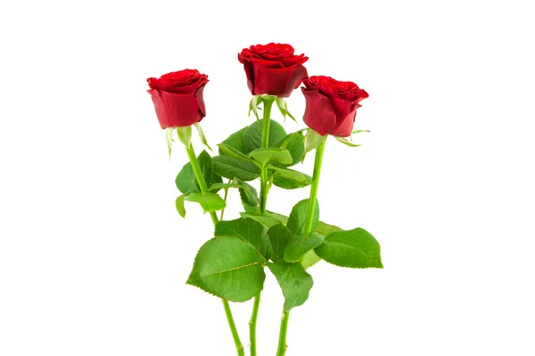 3 κόκκινα τριαντάφυλλα σε λευκό φόντο — Φωτογραφία Αρχείου