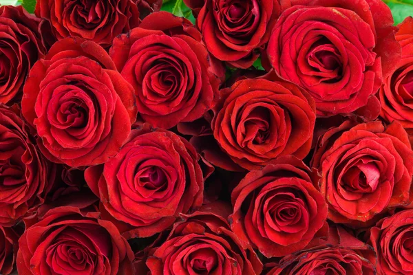 Μπουκέτο με κόκκινα τριαντάφυλλα ως φόντο — Φωτογραφία Αρχείου