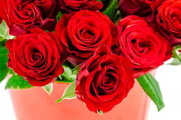 Ramo de rosas rojas sobre un fondo blanco — Foto de Stock