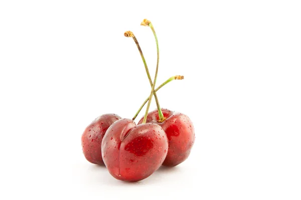 红色成熟的樱桃浆果 — 图库照片