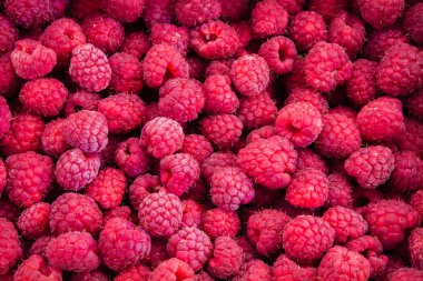 arka plan olarak parlak organik ahududu