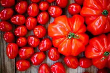 taze kırmızı domatesler ahşap zemin