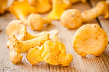 ahşap arka plan üzerinde taze Cantharellus cibarius mantar