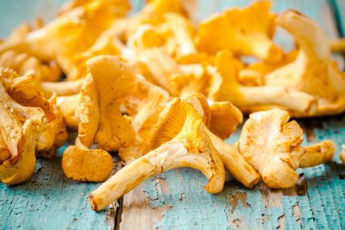 ahşap arka plan üzerinde taze Cantharellus cibarius mantar