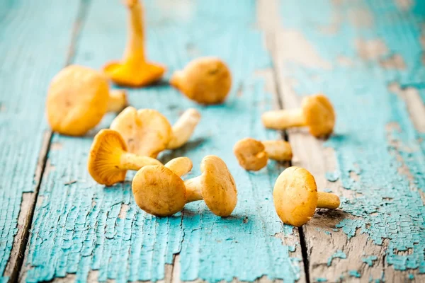 Champiñones frescos sobre un fondo de madera — Foto de Stock