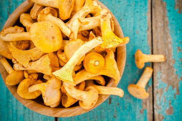 Champiñones frescos sobre un fondo de madera — Foto de Stock